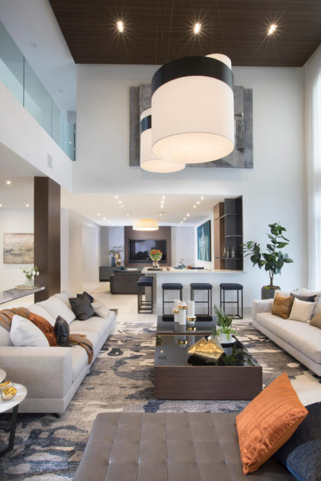 Stylish modern living room with overhead lighting fixture, plush sofas, and a sleek coffee table.