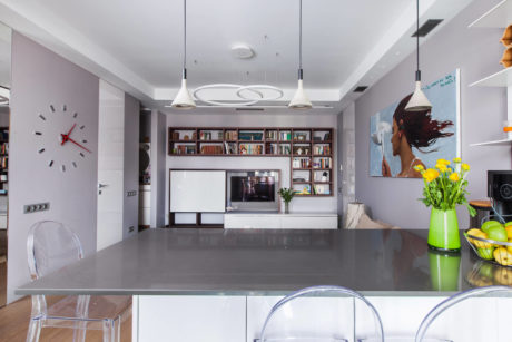 Modern living room with sleek furniture, built-in shelving, and eclectic decor.