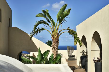 Palm tree in a modern courtyard with arches and a sea view.