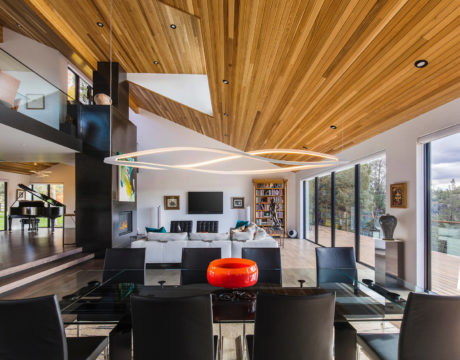 Sleek living space with wooden ceilings, unique oval light fixture, and contemporary