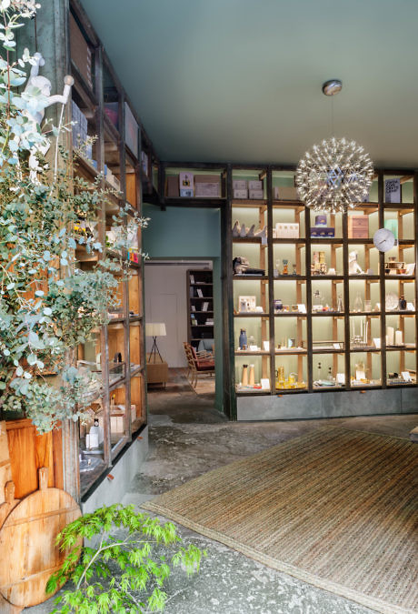 Elegant room with a large, illuminated bookcase, decorative plants, and a