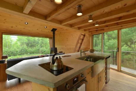 Rustic cabin kitchen with wood walls and forest view.