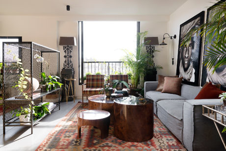 Modern living room with eclectic decor and indoor plants.