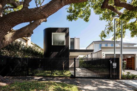 Modern house with a unique black facade behind a metal fence, large tree in foreground