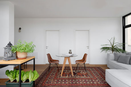 Contemporary living space with minimalist decor and a vintage rug.