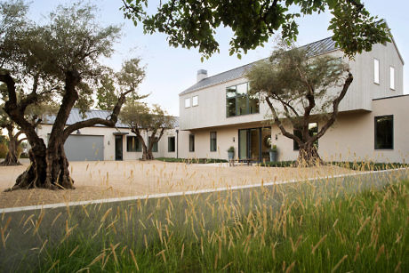 Modern house with large windows, surrounded by trees and tall grass.