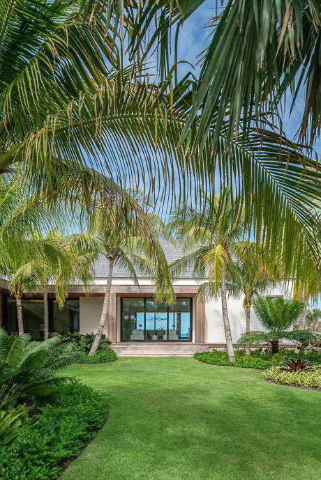 Modern tropical villa with large glass doors, surrounded by palm trees and a lush lawn