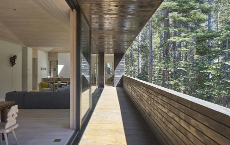 Wooden corridor with glass walls overlooking a forest.