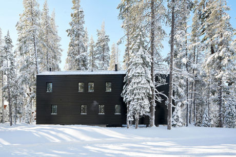 Dark-colored cabin surrounded by snowy trees under a clear sky.