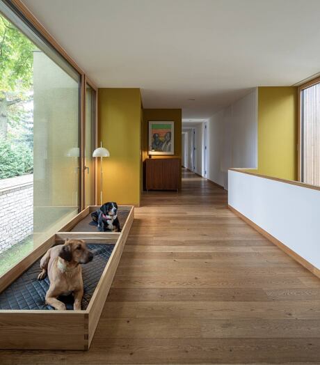 Lake House by Carlos Zwick Architekten - 9