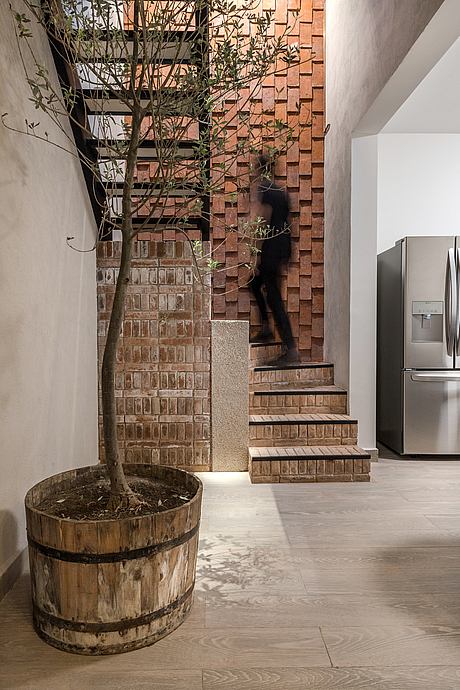 Campeche 211 by Parás+ Izquierdo Architecture - 7