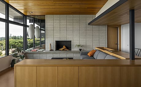 Golden House by SHED Architecture - 3