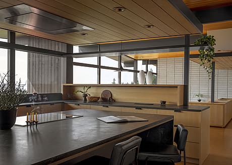 Golden House by SHED Architecture - 7