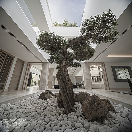 The Hill by ARK Architects - 5