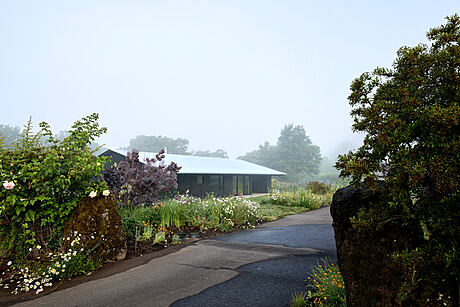 Divine House by Landry Smith Architect - 7