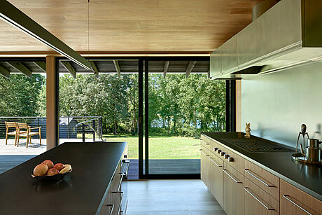 Divine House by Landry Smith Architect - 4