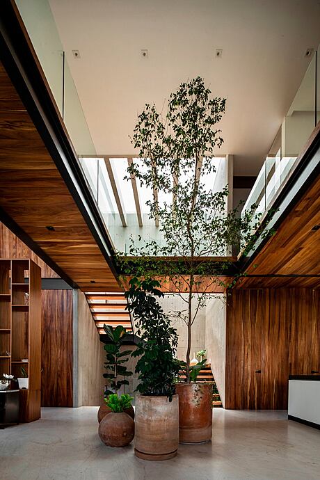 Casa Lomas by Arqueodigma Estudio - 5