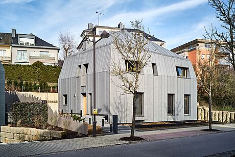 Single-Family House by Beiler François Fritsch - 9