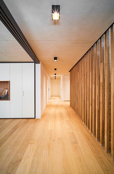 Single-Family House by Beiler François Fritsch - 4