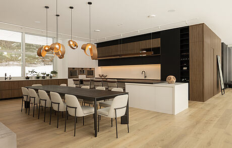 Weirs Lane: Mies Van Der Rohe-Inspired Design in Canada - 6