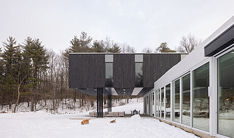 Weirs Lane: Mies Van Der Rohe-Inspired Design in Canada - 1