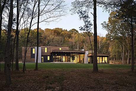 West End House: Open-Plan Living Meets Forest Retreat - 7