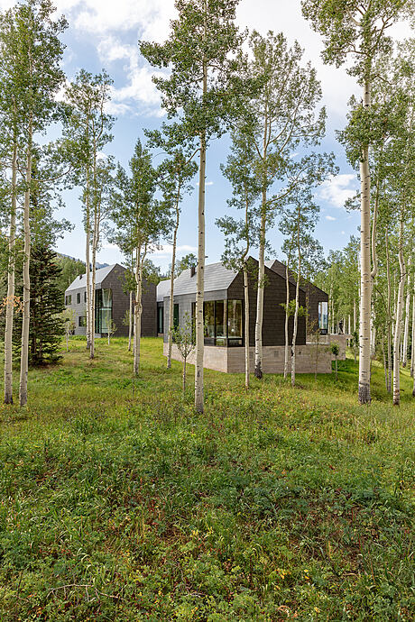 Elk Run Residence: A Serene Hideaway Amidst Telluride’s Scenic Beauty - 9