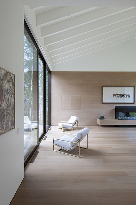 Elk Run Residence: A Serene Hideaway Amidst Telluride’s Scenic Beauty - 4