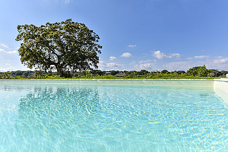 Borgo Aratico: A Revitalized Historic Farmhouse in Monopoli - 16