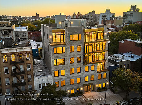 Timber House: Redefining Eco-Condos in Brooklyn - 11