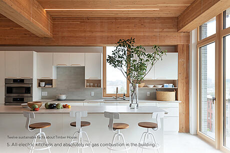 Timber House: Redefining Eco-Condos in Brooklyn - 3
