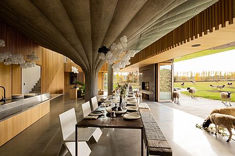 75.9 House: A Pioneering Vision of Contemporary Living - 4
