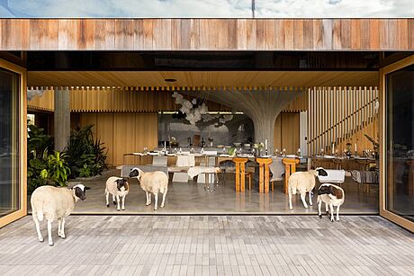 75.9 House: A Pioneering Vision of Contemporary Living - 3