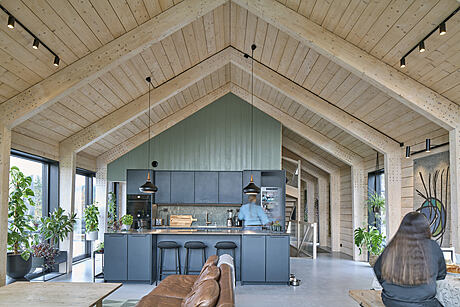 House Dokka: Redefining Green Homes - 4