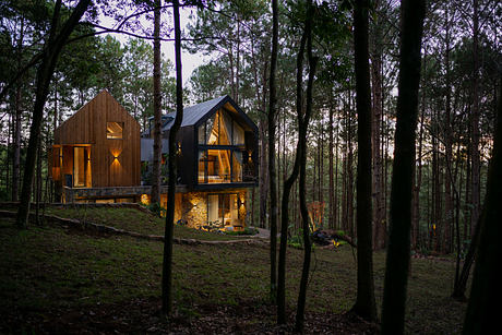 Modern twin gabled houses nestled in a forest at dusk.