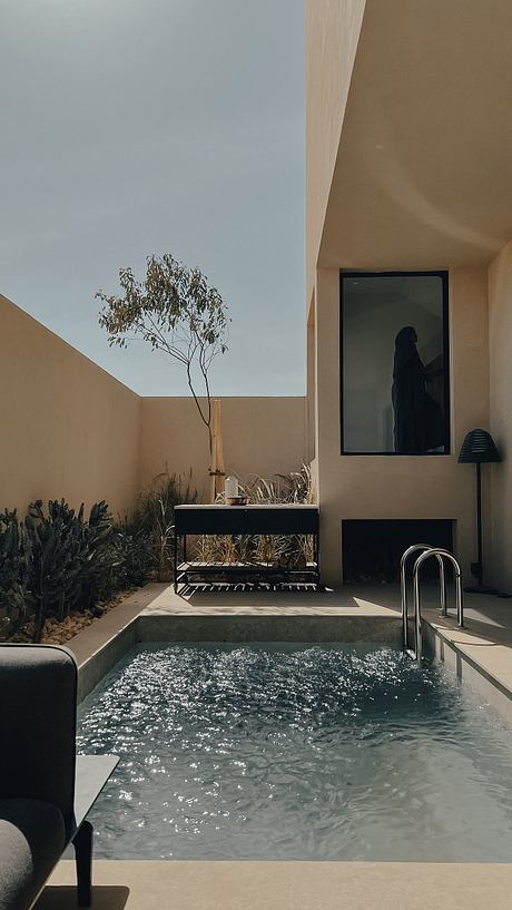 Contemporary courtyard with a plunge pool, minimalist furniture, and a single tree.