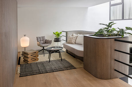 Modern minimalist living room with curved sofa, potted plants, and wooden furniture.