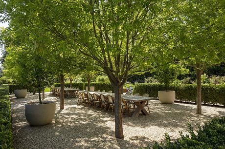 Serene outdoor dining area with lush greenery, wooden tables, and potted plants.