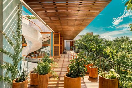 A wooden slatted canopy shelters a lush, tropical patio with potted plants.