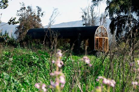 A quaint wooden structure with an arched window nestled amidst a lush, overgrown landscape.