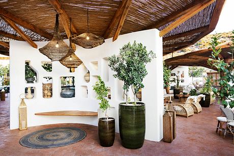 Rustic Mediterranean-style interior with woven ceiling, potted plants, and decorative accents.