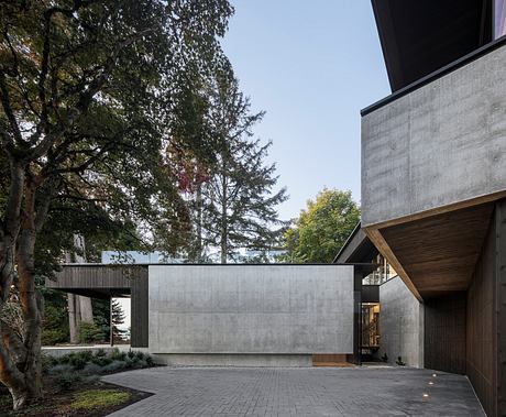 Ravine House by D’Arcy Jones Architects - 1
