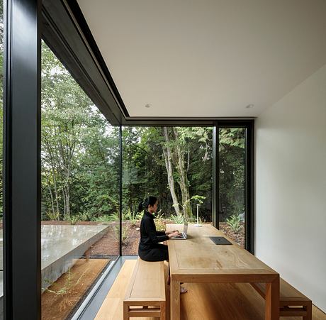 Ravine House by D’Arcy Jones Architects - 2