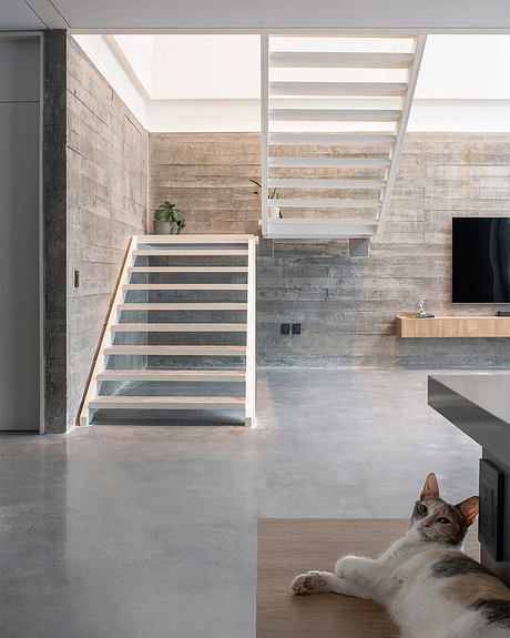 Casa Encinos by arxprnr - 3