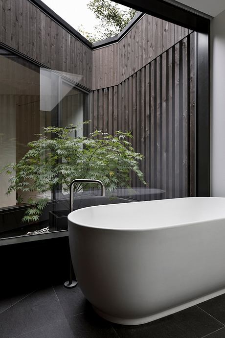 Ravine House by D’Arcy Jones Architects - 4