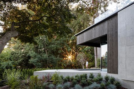 Ravine House by D’Arcy Jones Architects - 6
