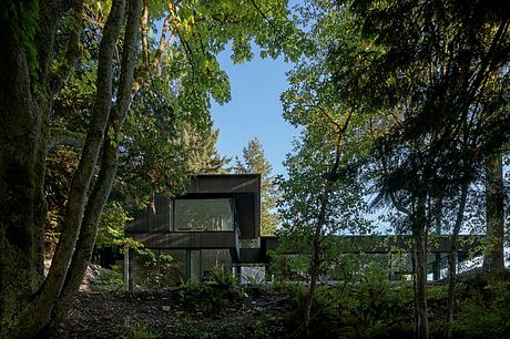 Ravine House by D’Arcy Jones Architects - 7