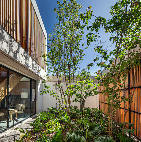 Tom House by Lattes Salinas Arquitectos - 6