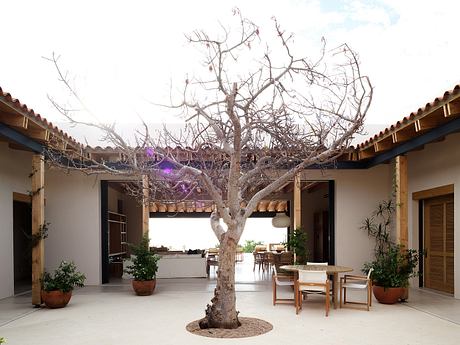 Casa Ananda Embraces Tropical Modernism - 6