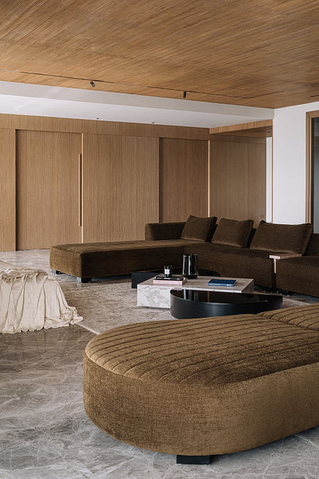 Equinox Apartment Redefines Urban Living With Dutch-Inspired Aesthetics - 2